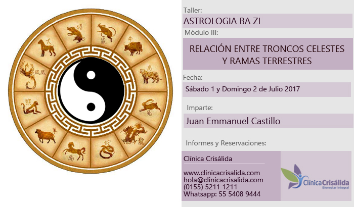 Astrología Bazi Módulo Iii Relación Entre Troncos Celestes Y Ramas Terrestres Clínica Crisálida